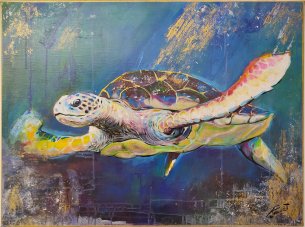 Joe Köstlinger turtle in the golden sea
